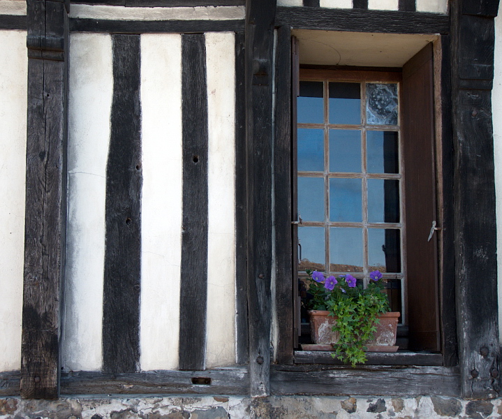 image11